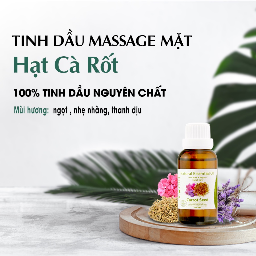 Dầu massage mặt hạt Cà rốt Aroma - Carrot Seed Facial Oil - Dưỡng ẩm, sáng da, trẻ lâu, chống nắng, chống nhăn 30ml