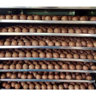 Macca nguyên vỏ nhà trồng Dak Lak - Gói 500g