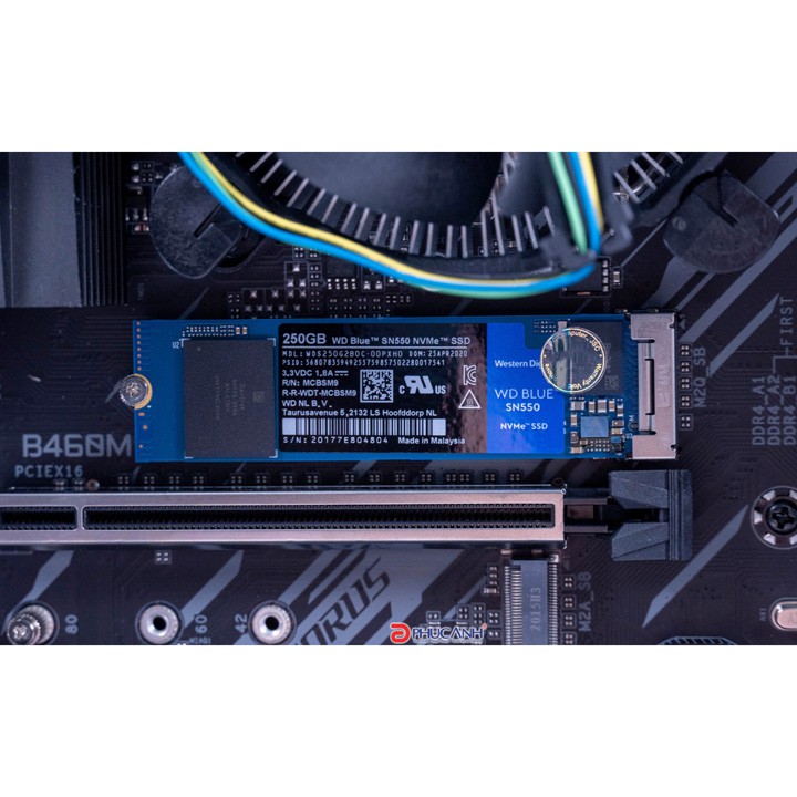 Ổ cứng SSD M.2 PCIe NVMe WD Blue SN550 SN570 250GB 500GB 1TB - bảo hành 5 năm - SD61 SD91 SD92 SD138