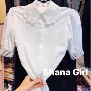 Áo sơ mi cổ ren