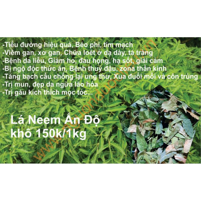 Lá Neem Ấn Độ khô 1kg nguonduoclieu kích thích mọc tóc