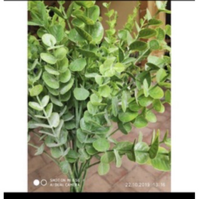 Cụm Lá Táo Mốc 75cm giống thật 99%