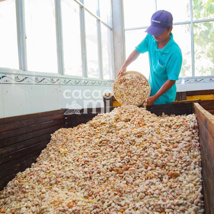 Bột cacao nguyên chất giảm cân 100% tự nhiên CacaoMi Premium tiêu chuẩn UTZ-Túi 500g | BigBuy360 - bigbuy360.vn