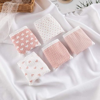 Set 5 quần chip chất cotton