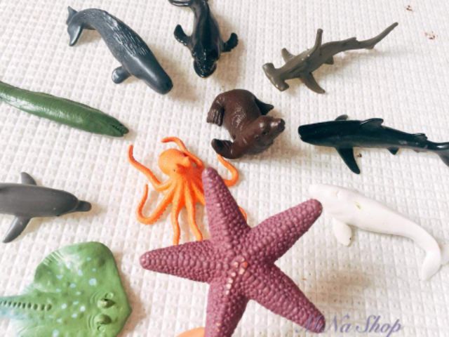 Đồ chơi mô hình sinh vật biển cho bé thỏa sức sưu tập và khám phá các loài động vật sinh vật biển