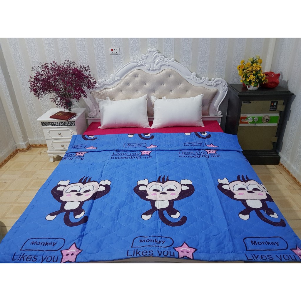 Sally Chăn Hè Trần Bông 3 Lớp Vải Cotton Poly MẪU HOA NHỤY ĐỎ