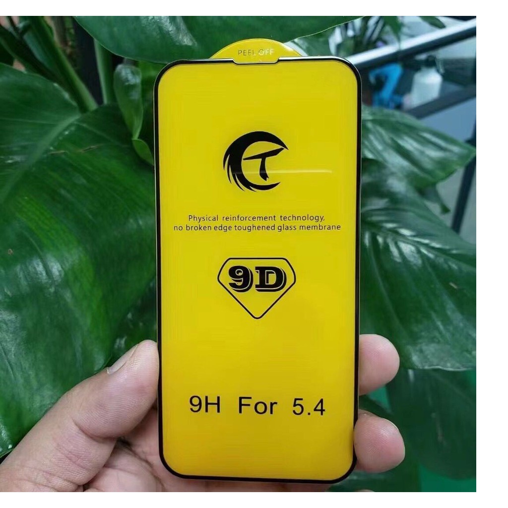 Kính cường lực 9D iPhone 13 Mini, 13, 13 Pro, 13 Pro max Full keo màn hình cao cấp