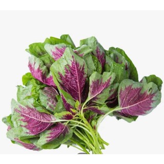 20g-Hạt Giống Rau Dền Tiều