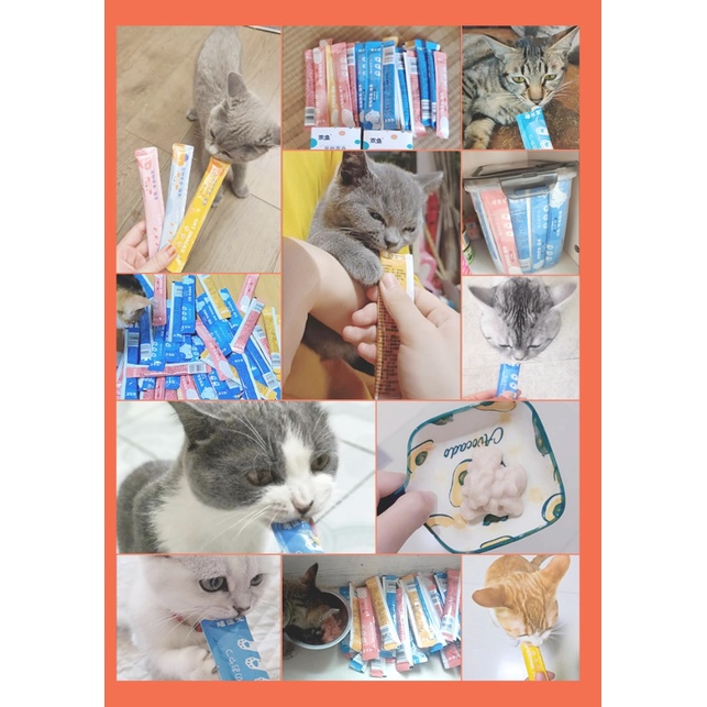 Súp thưởng cho mèo, soup mèo Cat snacks thơm ngon giàu dinh dưỡng
