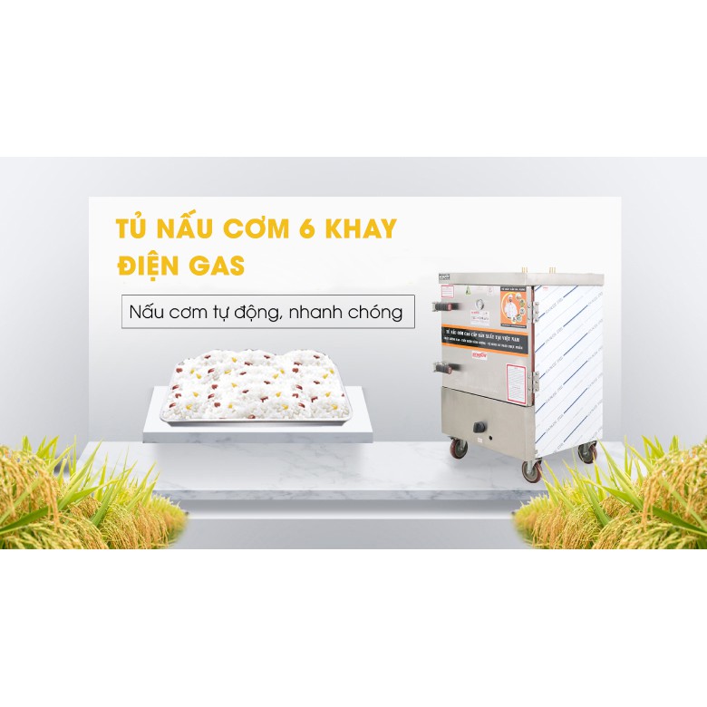 Tủ nấu cơm 30 kg gạo/mẻ 6 khay bằng điện gas NEWSUN Việt Nam - Bảo hành 12 tháng - Hàng chính hãng