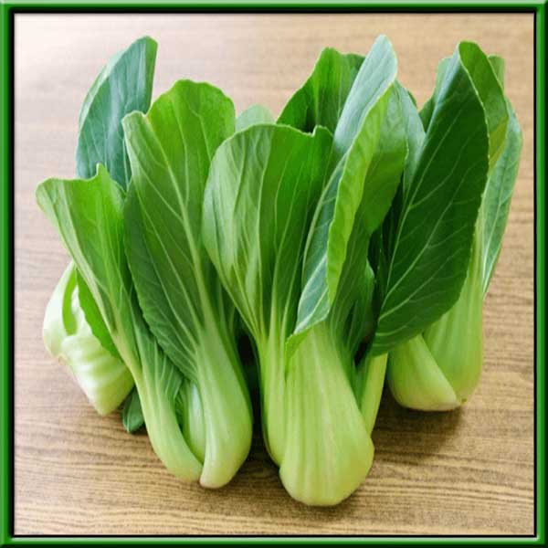 Hạt Giống Cải Thìa - Xuất xứ New Zealand