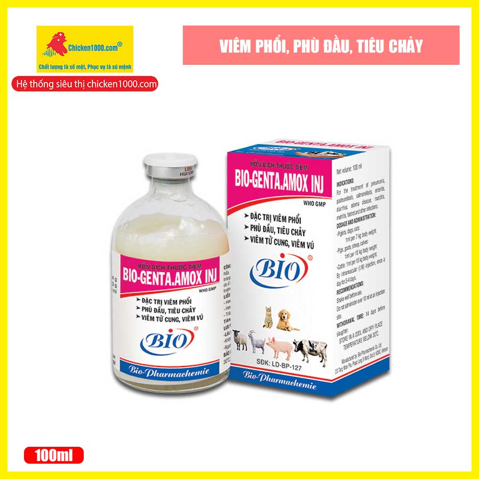 Thú Y Genta Amox INJ Dùng Cho Vật Nuôi Chó, Mèo, Heo, Bò, Viêm Ruột, Tiêu Chảy