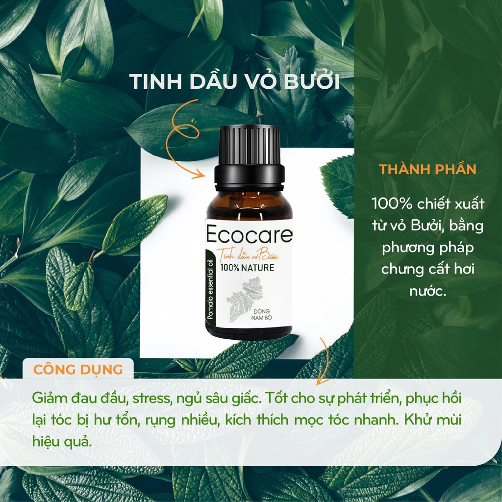 Tinh dầu thiên nhiên cao cấp ECOCARE 10ml, mùi thơm hoàn toàn nguyên chất (Bưởi, Quế, Cam, Sả Chanh, Bạc Hà, Nhài)