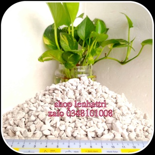 Đá lông vũ đá pumice đá bọt núi lửa 1kg