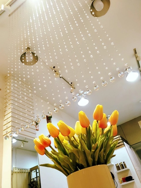 Rèm pha lê hạt trơn các màu