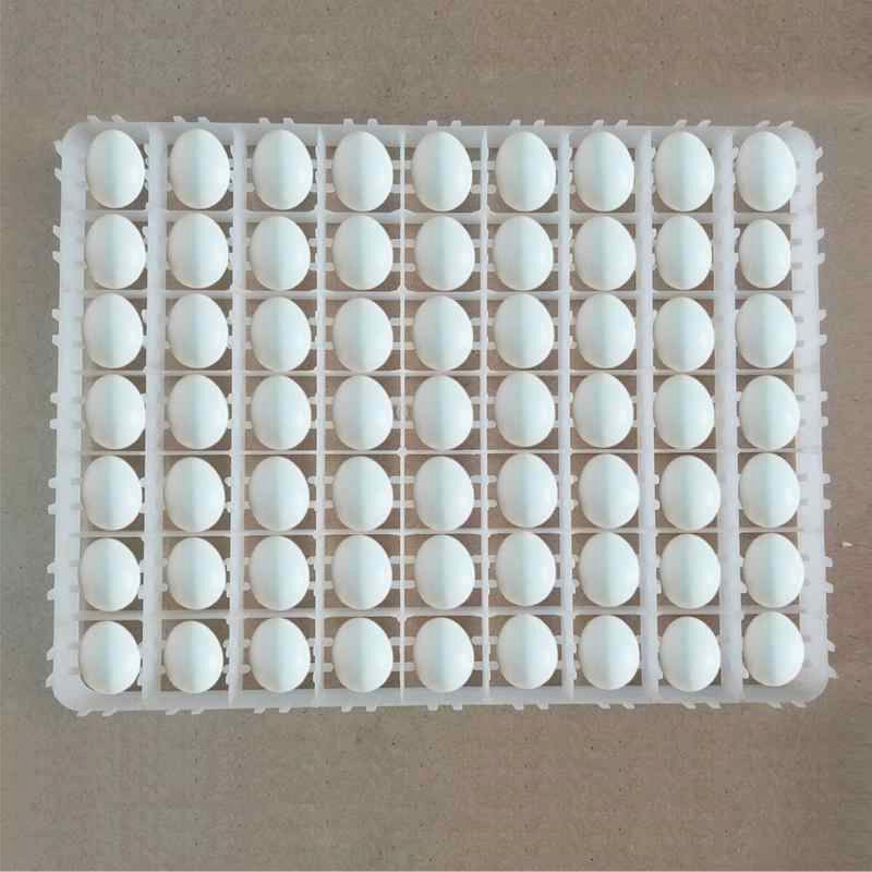 Khay ấp trứng gà, vịt, bồ câu, chim cút - Loại nhựa chuyên dụng