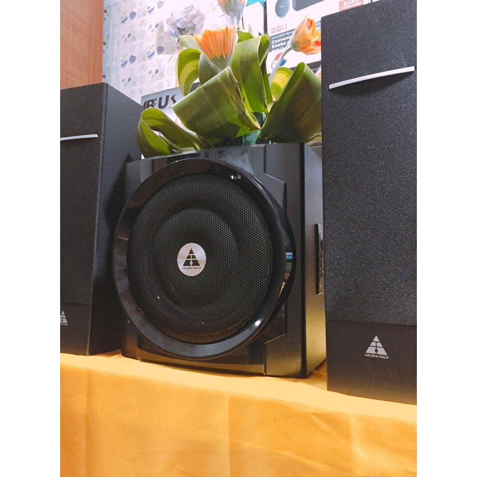 LOA VI TÍNH GOLDEN FIELD H308 BLUETOOTH - Liên hệ vs shop để đc hỗ trợ vận chuyển