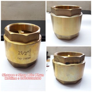 Lupe van 1 chiều lò xo đồng phi 76 90 114