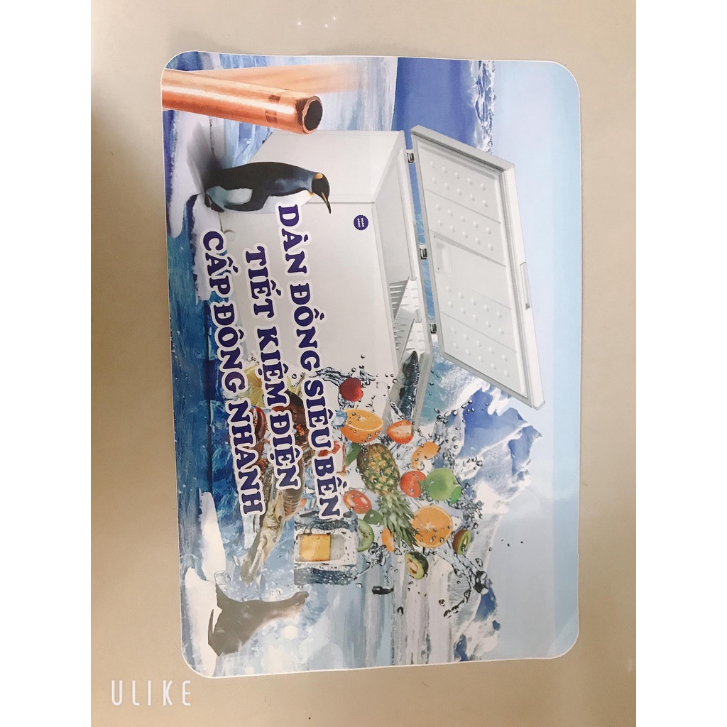 Miếng Dán/Tem Dán Trang Trí Tủ Đông (mẫu 2)