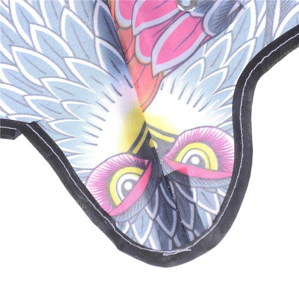 Chú Chim Đại Bàng Cỡ Lớn Độc Đáo