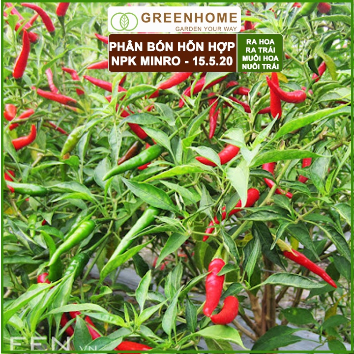 Phân NPK 15-5-20 Minro, bao 200gr, phân bón kích ra hoa, đậu trái, nuôi hoa, nuôi trái |Greenhome