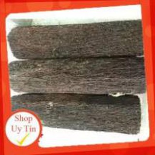 DỚN TRỤ TRỒNG LAN