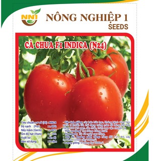 Hạt giống cà chua trái trứng chịu nhiệt indica - gói 120 hạt