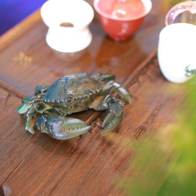 Cua Đổi Màu Lớn, Cua đổi màu khi rót nước nóng, Pet bàn trà.