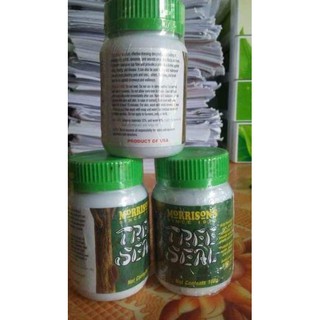 Keo liền da Mỹ
