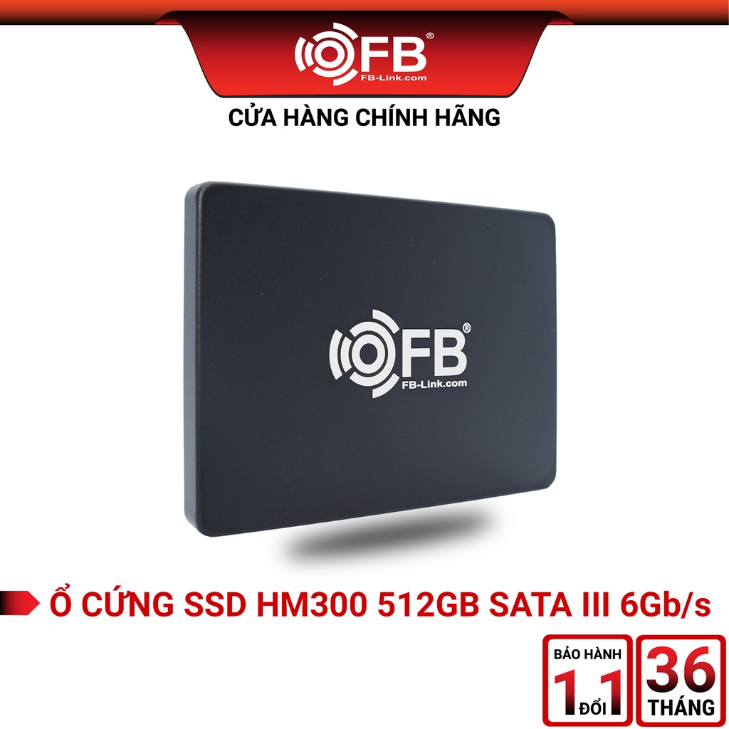 Ổ Cứng SSD 512GB FB-LINK HM300 SATA III 2.5 (6Gb s) I Bảo hành 36 thumbnail