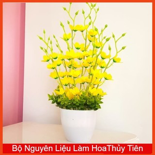 NGUYÊN LIỆU LÀM HOA THỦY TIÊN(Đã Kèm Chậu)