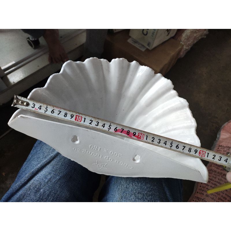 chậu ốp tường áp tường treo tường trồng cây hình sò 3 tấc (kt 30x16x11cm)