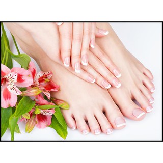 Decal dán tường trang trí spa beauty salon tiệm nails Mã số spa_017K