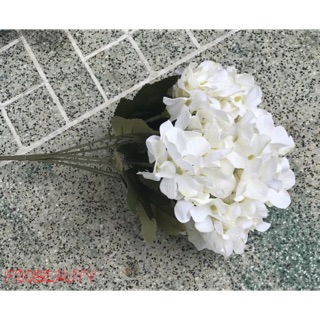 Hoa cẩm tú cầu lụa- màu trắng thanh lý 98%