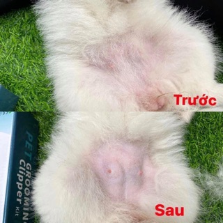 TÔNG ĐƠ CẮT TỈA LÔNG CHÓ MÈO