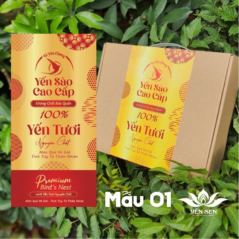 Hộp đựng 6 hủ yến chưng cao cấp
