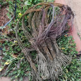 Giò chân đồng bẫy gà