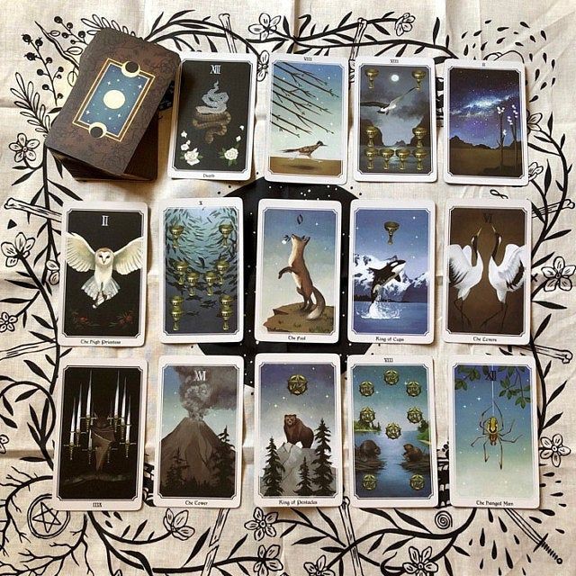 Tarotscopes Bộ bài Tarot Anima Mundi Tarot