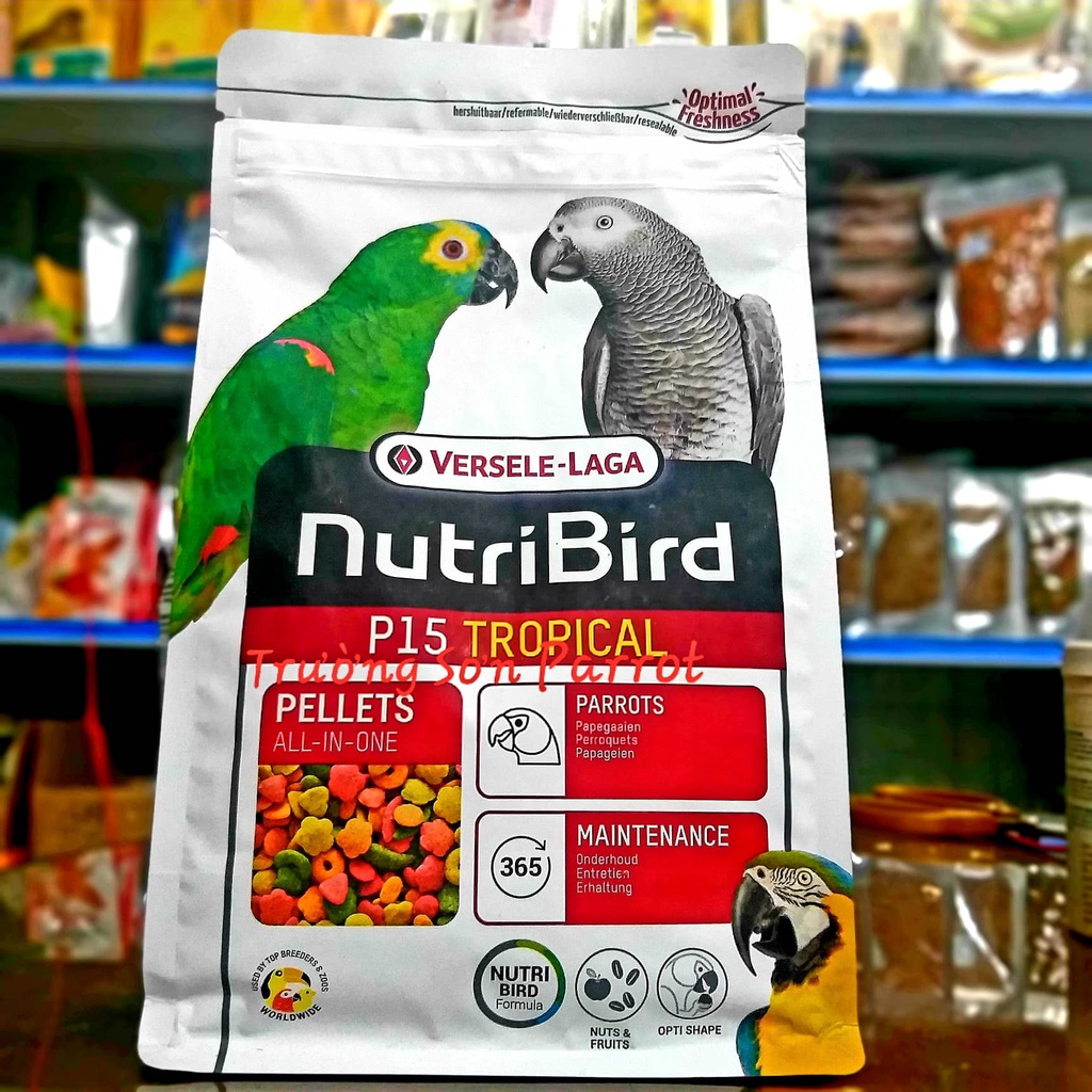Hạt trái cây P15 của nutribird dành cho vẹt xám, electus, amazon, macaw...và các vẹt cùng size