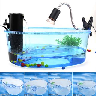 Bể rùa cảnh mini chất lượng