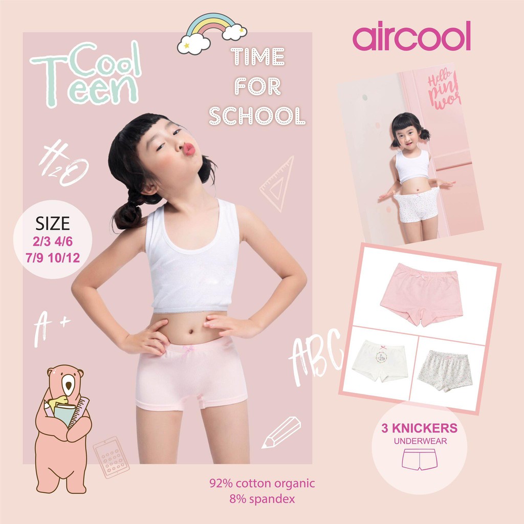 Chip Đùi Aircool BG (phom nhỏ)