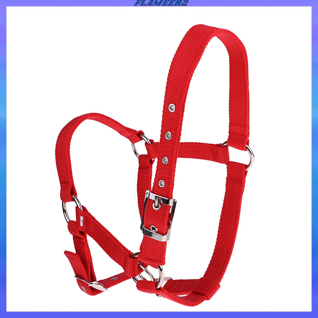 Dây Đeo Ngựa Cưỡi Ngựa Bằng Nylon Có Thể Điều Chỉnh Phong Cách Phương Tây