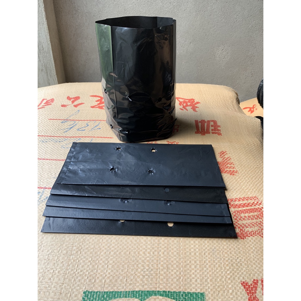 1KG TÚI ƯƠM CÂY MÃ 20*25 ( KÍCH RỄ, MẦM CÂY XANH LÁ, DỊCH TRUYỀN CHO CÂY, BẠT CỎ...)