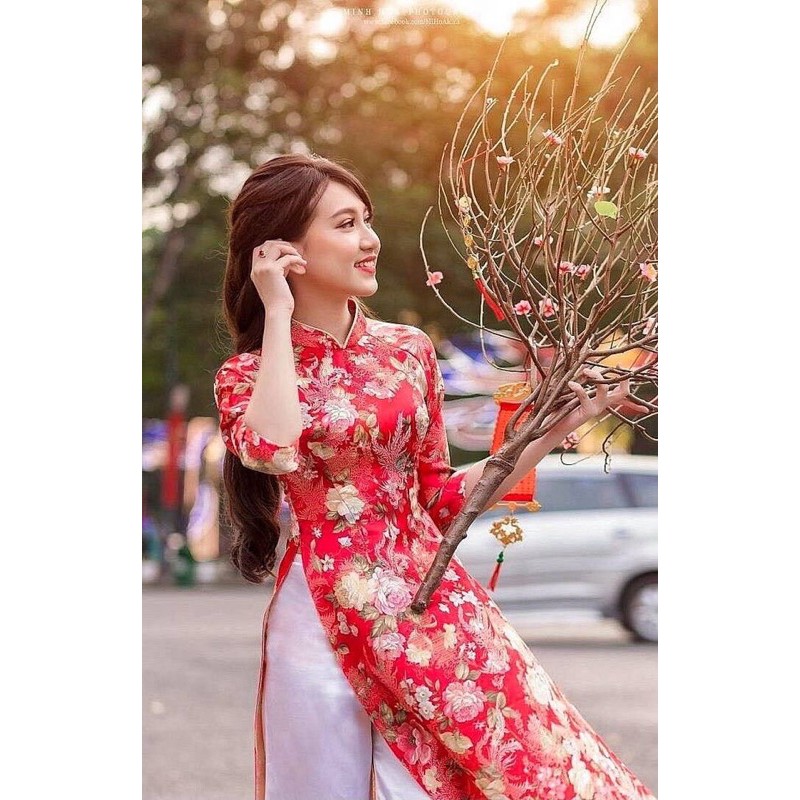 Gấm Hoa Hồng Đỏ