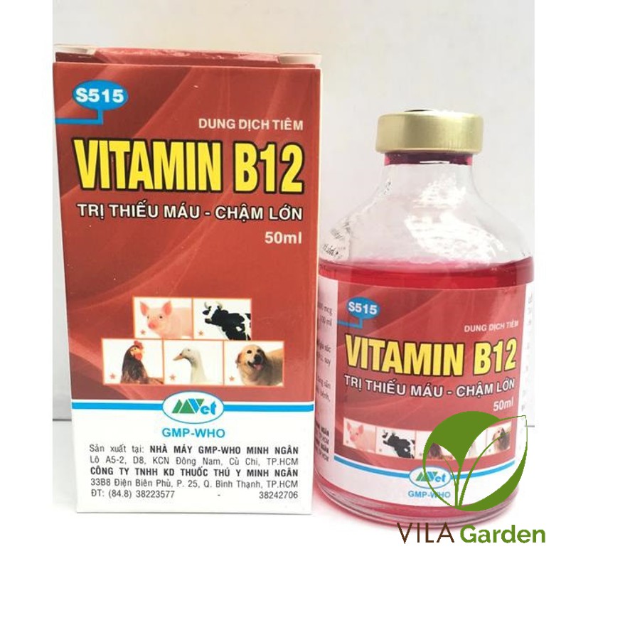 Vitamin B12 cho lan, cây cảnh 100ml