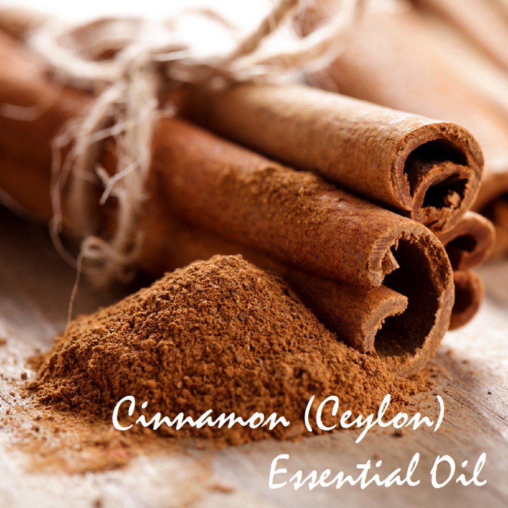 Tinh dầu vỏ quế Cinnamon Bark Essential Oil (Ceylon)