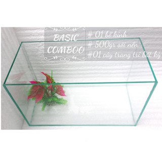 Bể Cá Mini - Bể Cá Khung Gỗ - Bể Cá Để Bàn Làm Việc Handmade