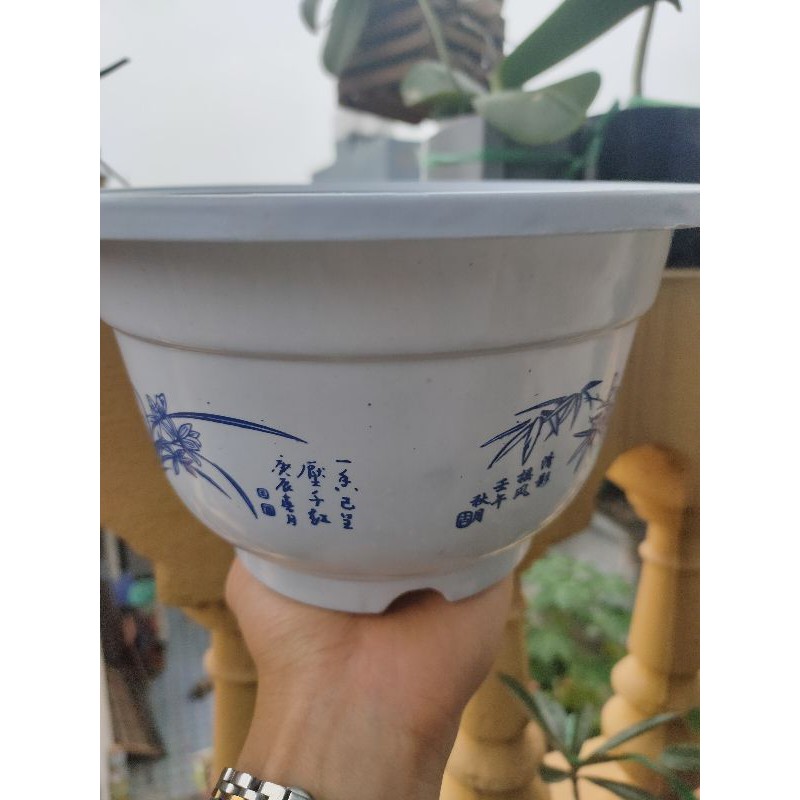 Chậu nhựa giả sử hoa xanh A240×150 CN