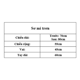 Áo Sơ mi trơn (Ảnh/Video tự chụp)