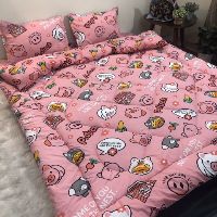 Bộ chăn ga gối Poly phao